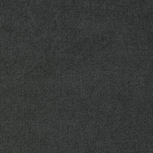 CENTAURI 19